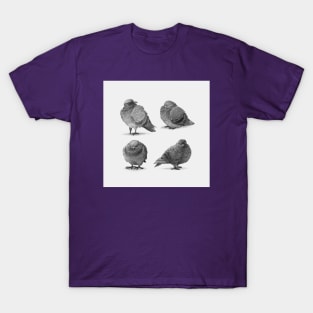 Pirate Pigeons T-Shirt